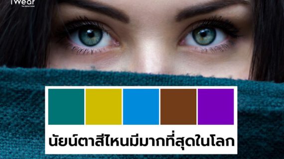 นัยน์ตา สีไหนมีมากที่สุดในโลก